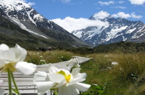 Mount Cook Day Tour - Queenstown to Christchurch 